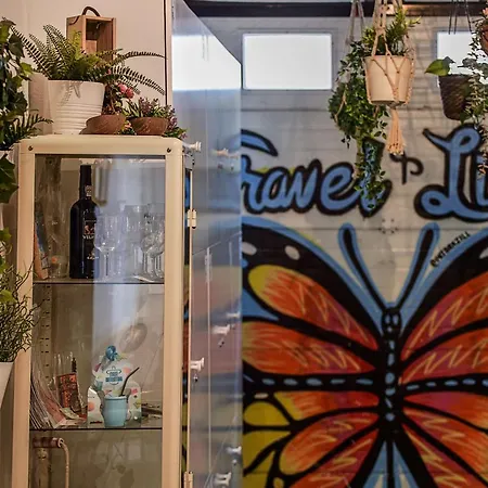 Travel & Live Hostel