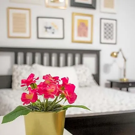 Travel & Live Auberge de jeunesse Oporto